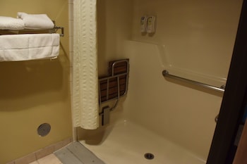 Standard Room, 1 King Bed, Accessible, Bathtub