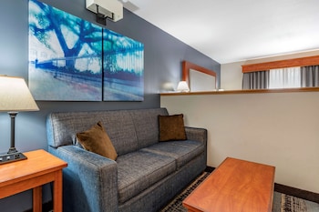 Standard Room, 1 King Bed, Non Smoking, Microwave