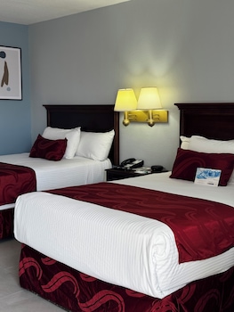 Standard Double Room, 2 Double Beds, Non Smoking
