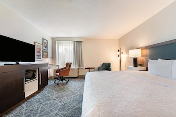 Room, 1 King Bed, Accessible, Non Smoking
