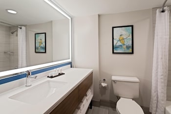 Suite, 1 King Bed with Sofa bed, Mobility Accessible