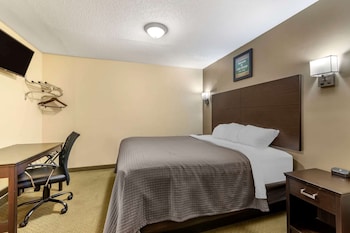 Standard Room, 1 King Bed, Non Smoking