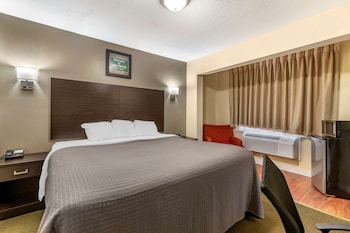 Standard Room, 1 King Bed, Non Smoking