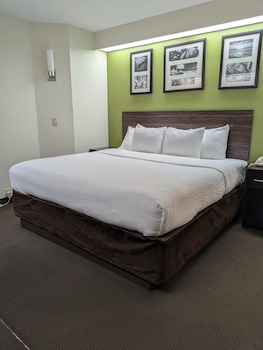 Standard Room, 1 King Bed, Non Smoking