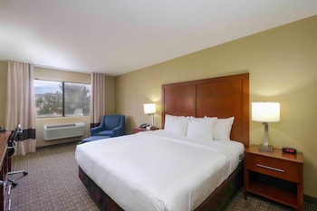 Room, 1 King Bed, Accessible, Non Smoking