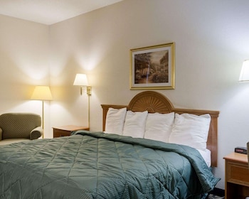 Standard Room, 1 King Bed, Non Smoking