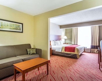 Suite, 1 King Bed, Non Smoking
