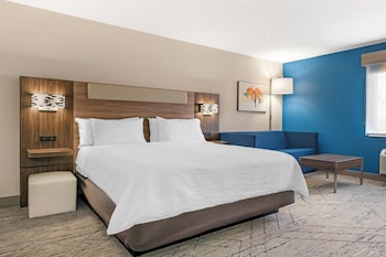 Standard Room, 1 King Bed with Sofa bed (Extra Floor Space)