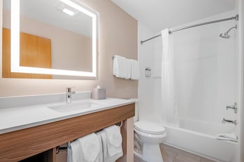 Suite, 1 King Bed with Sofa bed