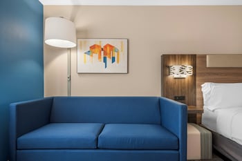 Standard Room, 1 King Bed with Sofa bed