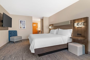 Suite, 1 King Bed with Sofa bed