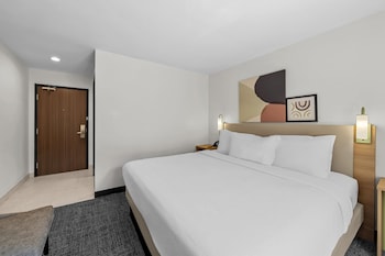 Room, 1 King Bed