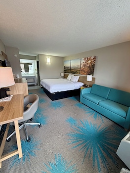 Deluxe Room, 1 King Bed, Non Smoking