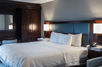 King Study, 1 King Bed with Sofa bed