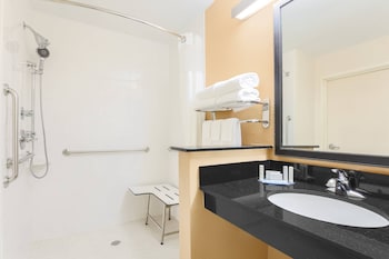 Room, 1 King Bed (Mobility/Hearing Access, Roll-In Shwr)