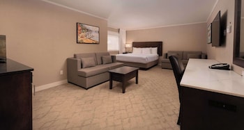 Standard Studio, 1 King Bed, Non Smoking, Kitchenette (with Sofabed)