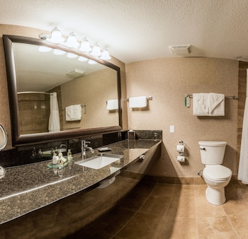 Standard Studio, 1 King Bed, Non Smoking, Kitchenette