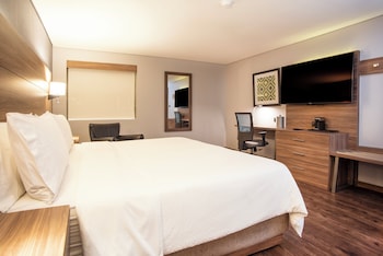 Suite, 1 King Bed