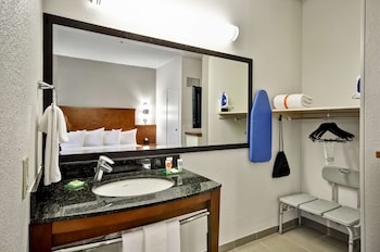 Room, 1 King Bed, Accessible (Roll-In Shower)