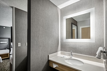 Suite, 1 King Bed with Sofa bed (Hearing Accessible)