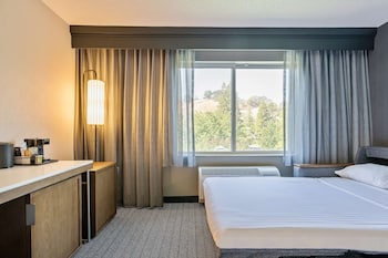 Room, 1 King Bed with Sofa bed, Accessible (Hearing)