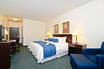 Standard Room, 1 King Bed, Accessible, Bathtub