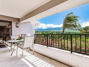 Condo, 1 Bedroom (463)