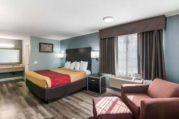 Room, 1 King Bed with Sofa bed, Non Smoking