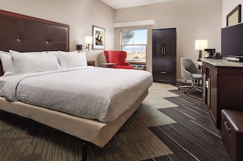 Room, 1 King Bed, Accessible, Bathtub (Non Smoking)