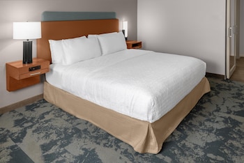 1 King Bed, Mobile/ Hearing Accessible, Roll in Shower, Non Smoking
