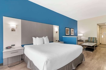 Room, 1 King Bed, Non Smoking, Refrigerator & Microwave
