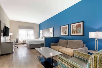 Room, 1 King Bed, Non Smoking, Refrigerator & Microwave