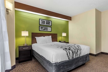 Room, 1 Queen Bed, Accessible, Non Smoking