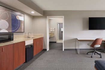 Suite, 1 King Bed with Sofa bed