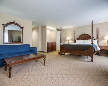Standard Room, 1 King Bed with Sofa bed, Non Smoking