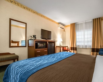 Standard Room, 1 King Bed, Non Smoking