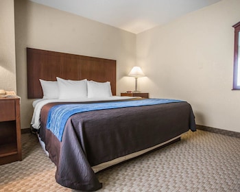 Suite, 1 King Bed with Sofa bed, Non Smoking