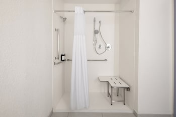 Room, 1 King Bed, Roll-in Shower, Non Smoking (Communications Mobility)