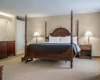 Standard Room, 1 King Bed with Sofa bed, Non Smoking