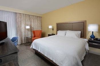 Room, 1 King Bed, Non Smoking, Refrigerator & Microwave