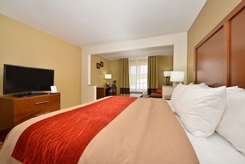 Suite, 1 King Bed with Sofa bed, Non Smoking