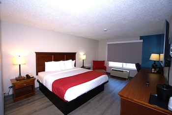 Room, 1 King Bed, Non Smoking