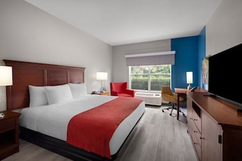 Room, 1 King Bed, Non Smoking
