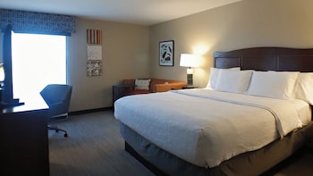 Room, 1 King Bed with Sofa bed