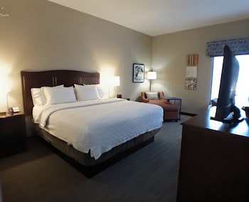 Room, 1 King Bed, Mobility Accessible