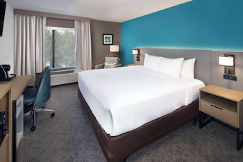 Room, 1 King Bed, Accessible, Non Smoking (Roll-In Shower)