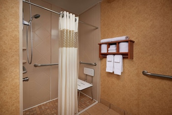 Standard 1 Queen Bed Accessible
