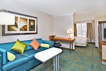 Suite, 1 King Bed with Sofa bed
