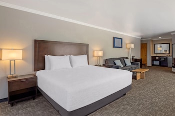 Standard Room, 1 King Bed, Non Smoking, Balcony (with Sofabed)