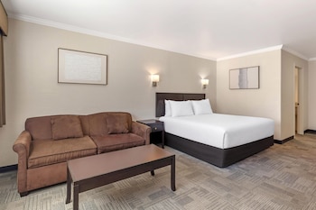 Suite, 1 King Bed, Non Smoking, Refrigerator & Microwave (with Sofabed)